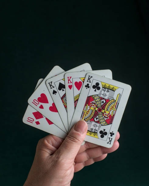 Togel 2D draw results and history